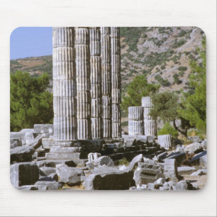 Azië, Midden-Oosten, Turkije, Efeze. Tempel van Muismat