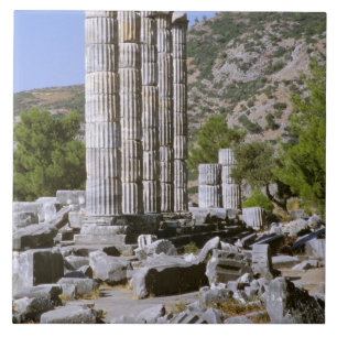 Azië, Midden-Oosten, Turkije, Efeze. Tempel van Tegeltje