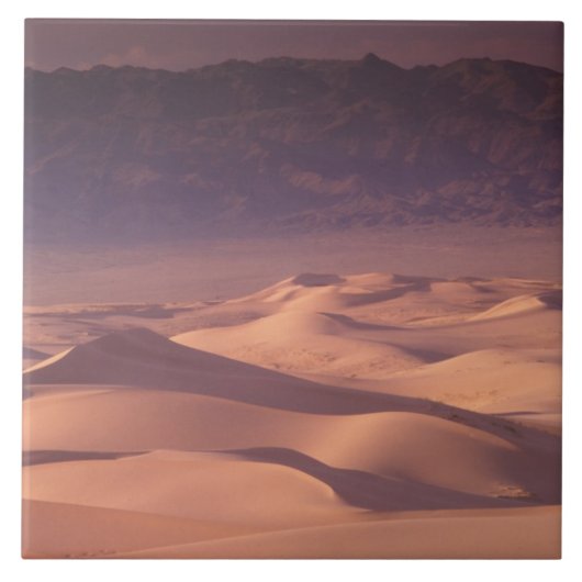 Azië, Mongolië, de Gobi-woestijn, Gobi Gurvansaikh Tegeltje (Voorkant)