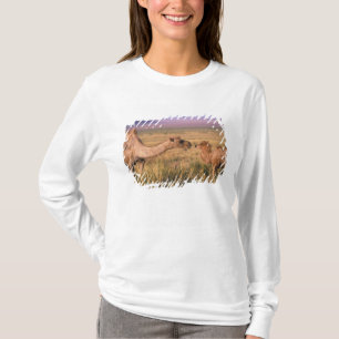 Azië, Mongolië, Gobiwoestijn, Grote Gobi T-shirt