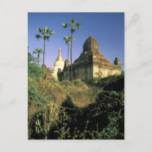 Azië, Myanmar, Bagan. Kubyauk-Gyi tempel. Briefkaart