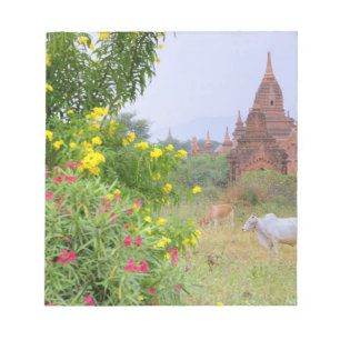 Azië, Myanmar (Birma), Bagan. Koeien Notitieblok