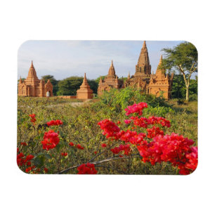 Azië, Myanmar (Birma), Bagan (Pagan). Een Bagan Magneet
