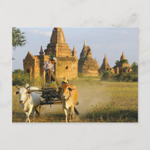 Azië, Myanmar (Birma), Bagan (Pagan). Een kar is Briefkaart
