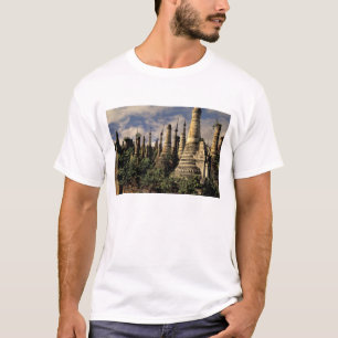 Azië, Myanmar, Inle Lake. Oude ruïnes van T-shirt
