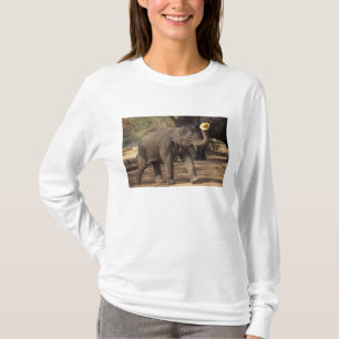 Azië, Thailand, Lampang Buigen met hoed - Thais T-shirt