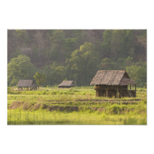 Azië, Thailand, Mae Hong Son, Rijsthutten in de Foto Afdruk