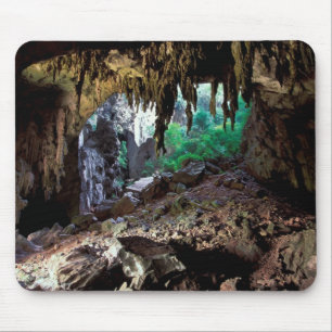 Azië, Thailand, nationaal park Phangnga Bay Muismat
