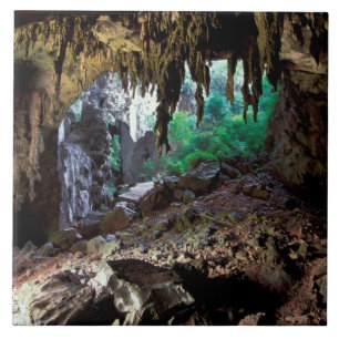 Azië, Thailand, nationaal park Phangnga Bay Tegeltje