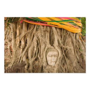 Azië, Thailand, Siam, Boeddha in boomholtes bij Foto Afdruk