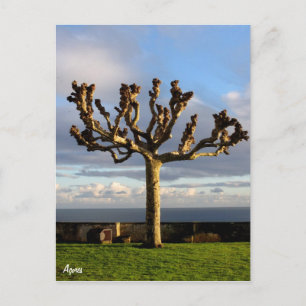 Azoren Briefkaart-Ermida da mae de Deus Briefkaart