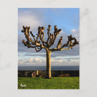 Azoren Briefkaart-Ermida da mae de Deus Briefkaart