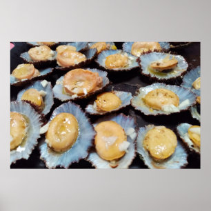 Azoren "lapas"-limpets poster