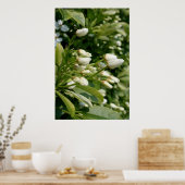 Aztec Pearl Poster (Keuken)