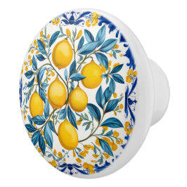 💙💛 Azulejos Lemon Bouquet Keramische Knop
