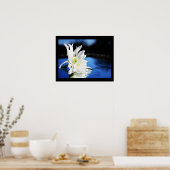 azura poster (Keuken)