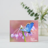 Azure Butterfly Briefkaart (Staand voorkant)