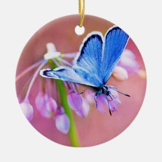 Azure Butterfly Keramisch Ornament (Voorkant)