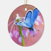 Azure Butterfly Keramisch Ornament (Links)