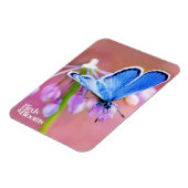 Azure Butterfly Magneet (Linkerzijde)