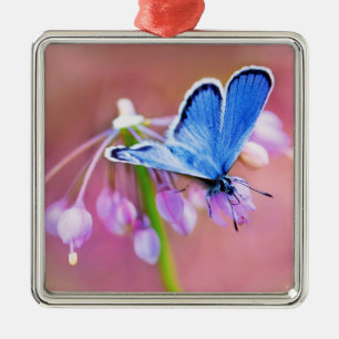 Azure Butterfly Metalen Ornament