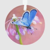 Azure Butterfly Ornament (achterkant)