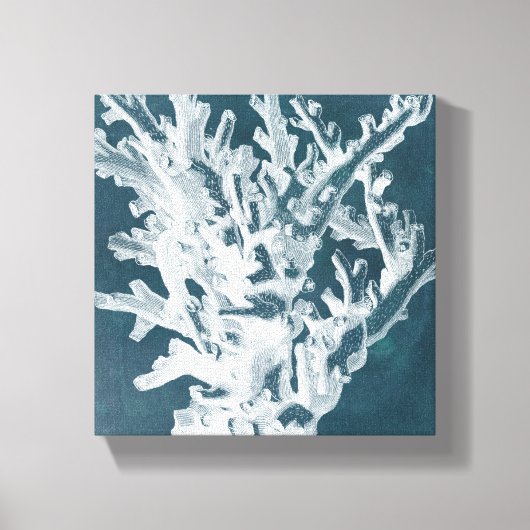 Azure Coral I Canvas Afdruk (Voorkant)