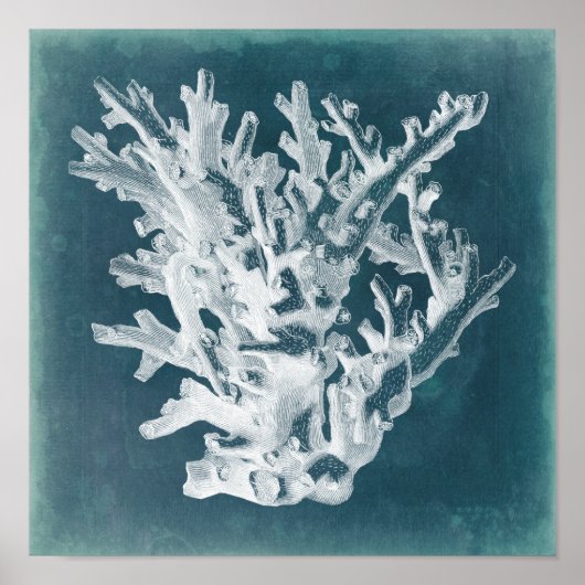 Azure Coral I Poster (Voorkant)