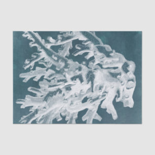 Azure Coral I Tissuepapier