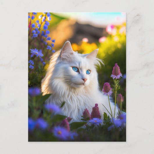 Azure het Turkse Briefkaart van de Angora Cat (Voorkant)