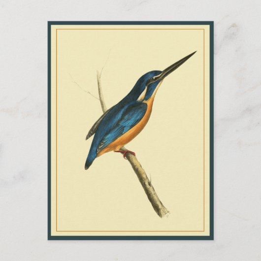 Azure Kingfisher Briefkaart (Voorkant)