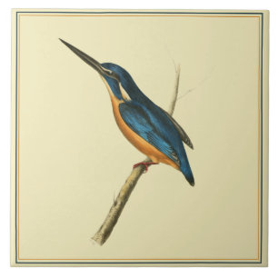 Azure Kingfisher Tegeltje