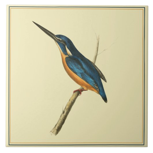Azure Kingfisher Tegeltje (Voorkant)