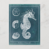 Azure Seahorse Study I Briefkaart (Voorkant)