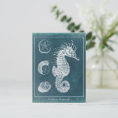 Azure Seahorse Study I Briefkaart (Staand voorkant)