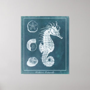 Azure Seahorse Study I Canvas Afdruk