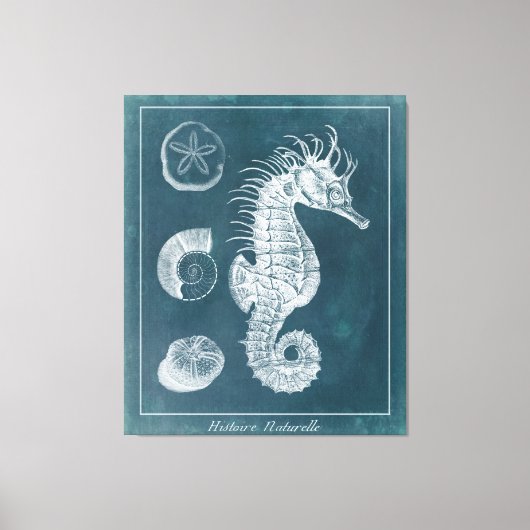 Azure Seahorse Study I Canvas Afdruk (Voorkant)