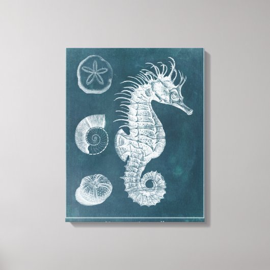 Azure Seahorse Study I Canvas Afdruk (Voorkant)