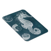 Azure Seahorse Study I Magneet (Rechterzijde)