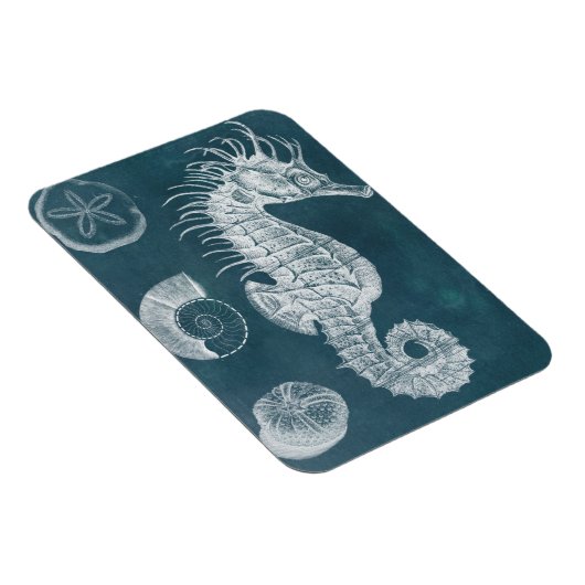 Azure Seahorse Study I Magneet (Rechterzijde)
