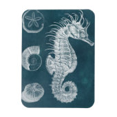 Azure Seahorse Study I Magneet (Verticaal)