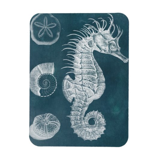 Azure Seahorse Study I Magneet (Verticaal)