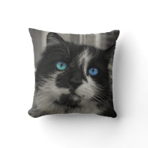 Azure Soul Zwarte Kat Blauwe Ogen Worp Kussen