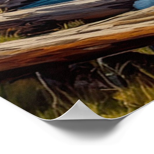 Azure Stream te midden van een Green Valley Poster (Hoek)