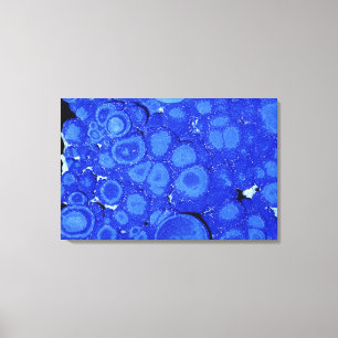 Azuriet, een erts van koper, Arizona, Verenigde St Canvas Afdruk