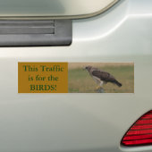 B10 Swainson's Hawk Bumpersticker (Op auto)