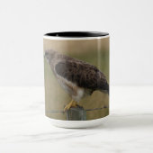 B10 Swainson's Hawk Mok (Midden)