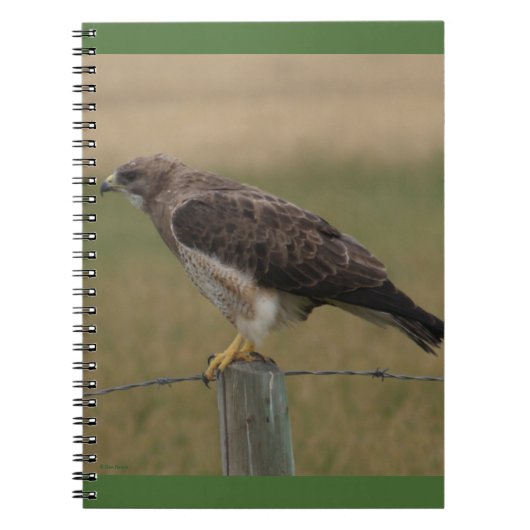 B10 Swainson's Hawk Notitieboek (Voorkant)