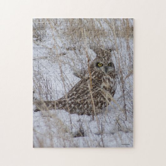 B11 Velduil Legpuzzel (Verticaal)