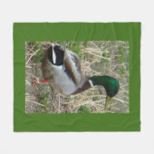 B12 Mallard Duck Drake Fleece Deken (Voorkant (Horizontaal))
